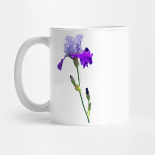 Iris Mug